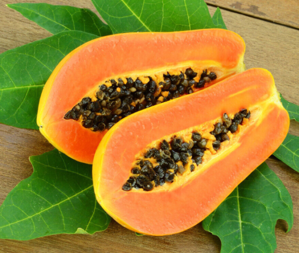 Papaya - Carica ‘Honey’
